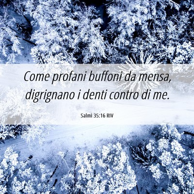 Picture 06 - Salmi 35:16 RIV - Come profani buffoni da mensa, digrignano i denti - Bible Verse Picture