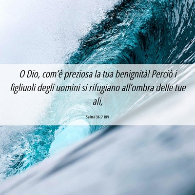 Picture 06 - Salmi 36:7 RIV - O Dio, com’è preziosa la tua benignità! - Bible Verse Picture