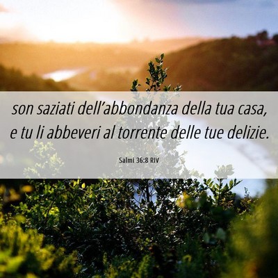 Picture 06 - Salmi 36:8 RIV - son saziati dell’abbondanza della tua casa, e - Bible Verse Picture