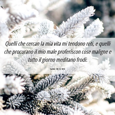 Picture 06 - Salmi 38:12 RIV - Quelli che cercan la mia vita mi tendono reti, e - Bible Verse Picture