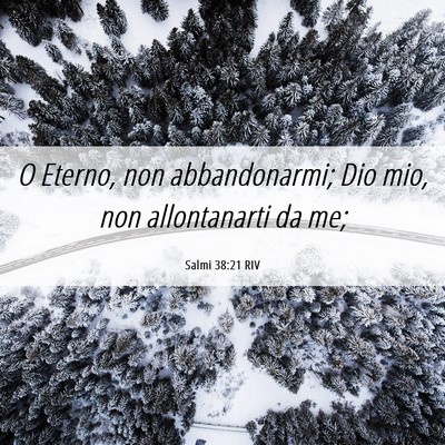 Picture 06 - Salmi 38:21 RIV - O Eterno, non abbandonarmi; Dio mio, non - Bible Verse Picture