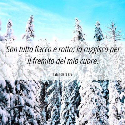 Picture 06 - Salmi 38:8 RIV - Son tutto fiacco e rotto; io ruggisco per il - Bible Verse Picture