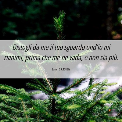 Picture 06 - Salmi 39:13 RIV - Distogli da me il tuo sguardo ond’io mi - Bible Verse Picture