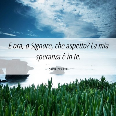 Picture 06 - Salmi 39:7 RIV - E ora, o Signore, che aspetto? La mia speranza è - Bible Verse Picture