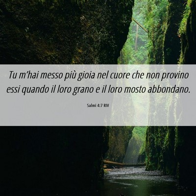 Picture 06 - Salmi 4:7 RIV - Tu m’hai messo più gioia nel cuore che non - Bible Verse Picture