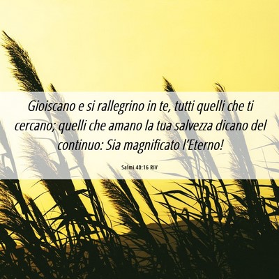 Picture 06 - Salmi 40:16 RIV - Gioiscano e si rallegrino in te, tutti quelli che - Bible Verse Picture