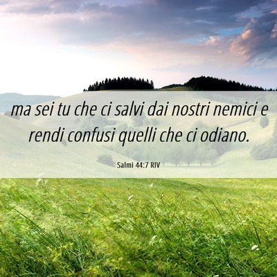 Picture 06 - Salmi 44:7 RIV - ma sei tu che ci salvi dai nostri nemici e rendi - Bible Verse Picture