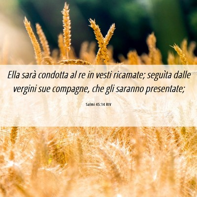 Picture 06 - Salmi 45:14 RIV - Ella sarà condotta al re in vesti ricamate; - Bible Verse Picture