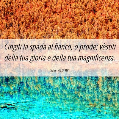 Picture 06 - Salmi 45:3 RIV - Cingiti la spada al fianco, o prode; vèstiti - Bible Verse Picture