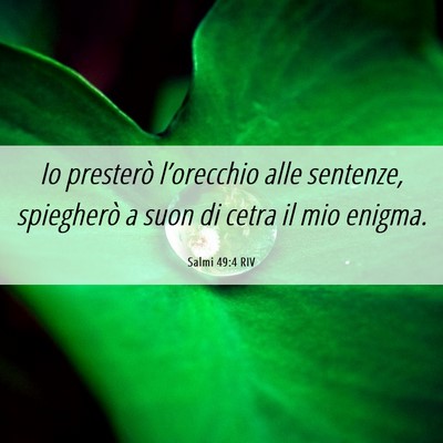 Picture 06 - Salmi 49:4 RIV - Io presterò l’orecchio alle sentenze, - Bible Verse Picture