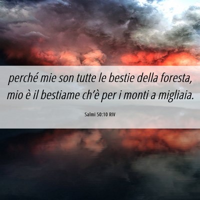 Picture 06 - Salmi 50:10 RIV - perché mie son tutte le bestie della foresta, - Bible Verse Picture