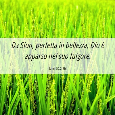 Picture 06 - Salmi 50:2 RIV - Da Sion, perfetta in bellezza, Dio è apparso nel - Bible Verse Picture