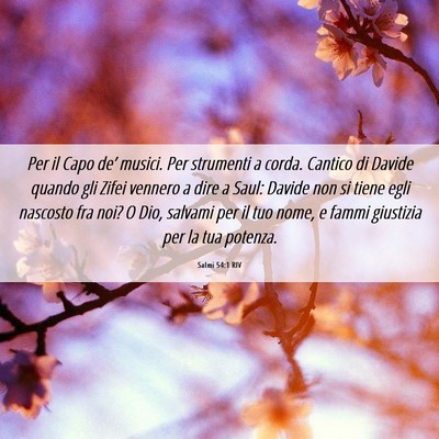 Picture 06 - Salmi 54:1 RIV - Per il Capo de’ musici. Per strumenti a corda. - Bible Verse Picture