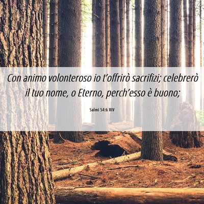Picture 06 - Salmi 54:6 RIV - Con animo volonteroso io t’offrirò sacrifizi; - Bible Verse Picture