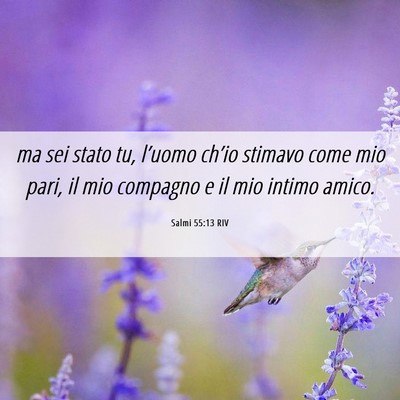 Picture 06 - Salmi 55:13 RIV - ma sei stato tu, l’uomo ch’io stimavo come - Bible Verse Picture
