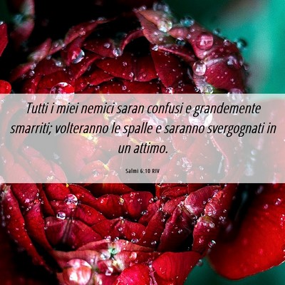 Picture 06 - Salmi 6:10 RIV - Tutti i miei nemici saran confusi e grandemente - Bible Verse Picture