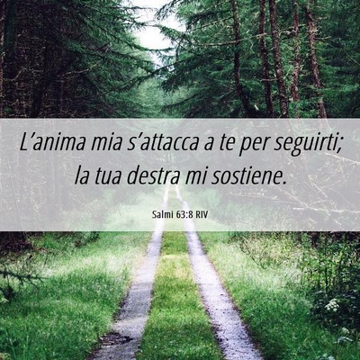 Picture 06 - Salmi 63:8 RIV - L’anima mia s’attacca a te per seguirti; la - Bible Verse Picture