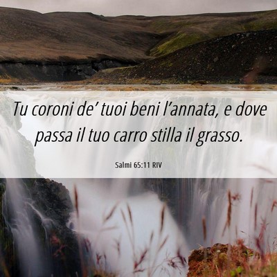 Picture 06 - Salmi 65:11 RIV - Tu coroni de’ tuoi beni l’annata, e dove - Bible Verse Picture