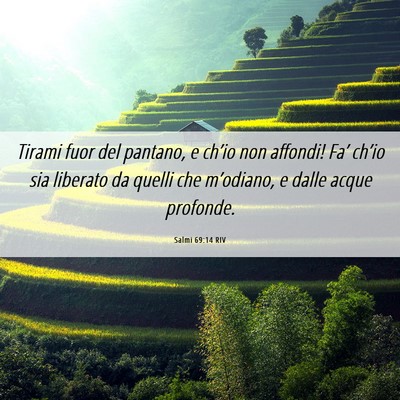 Picture 06 - Salmi 69:14 RIV - Tirami fuor del pantano, e ch’io non affondi! - Bible Verse Picture