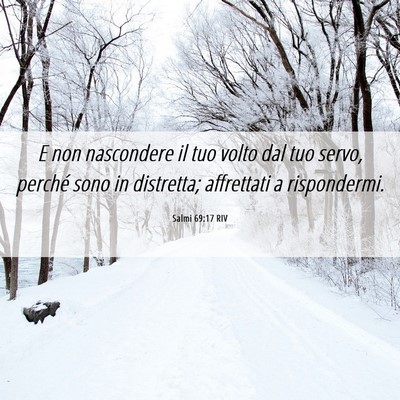 Picture 06 - Salmi 69:17 RIV - E non nascondere il tuo volto dal tuo servo, - Bible Verse Picture