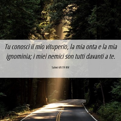 Picture 06 - Salmi 69:19 RIV - Tu conosci il mio vituperio, la mia onta e la mia - Bible Verse Picture