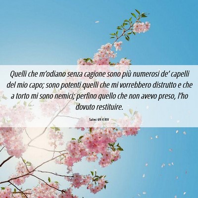 Picture 06 - Salmi 69:4 RIV - Quelli che m’odiano senza cagione sono più - Bible Verse Picture