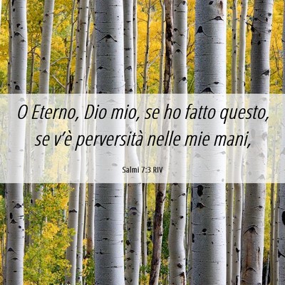 Picture 06 - Salmi 7:3 RIV - O Eterno, Dio mio, se ho fatto questo, se v’è - Bible Verse Picture