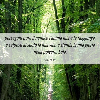 Picture 06 - Salmi 7:5 RIV - perseguiti pure il nemico l’anima mia e la - Bible Verse Picture