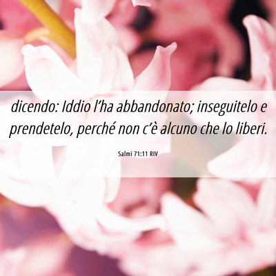 Picture 06 - Salmi 71:11 RIV - dicendo: Iddio l’ha abbandonato; inseguitelo e - Bible Verse Picture
