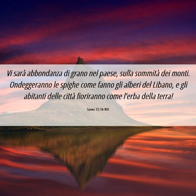 Picture 06 - Salmi 72:16 RIV - Vi sarà abbondanza di grano nel paese, sulla - Bible Verse Picture
