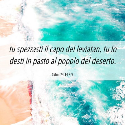 Picture 06 - Salmi 74:14 RIV - tu spezzasti il capo del leviatan, tu lo desti in - Bible Verse Picture