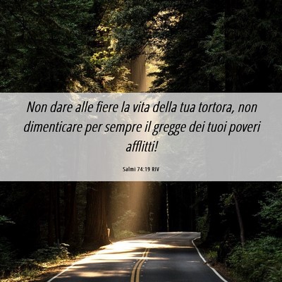 Picture 06 - Salmi 74:19 RIV - Non dare alle fiere la vita della tua tortora, - Bible Verse Picture