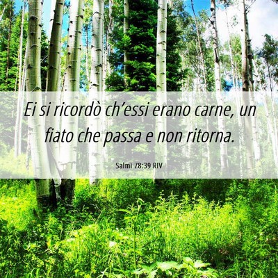 Picture 06 - Salmi 78:39 RIV - Ei si ricordò ch’essi erano carne, un fiato - Bible Verse Picture