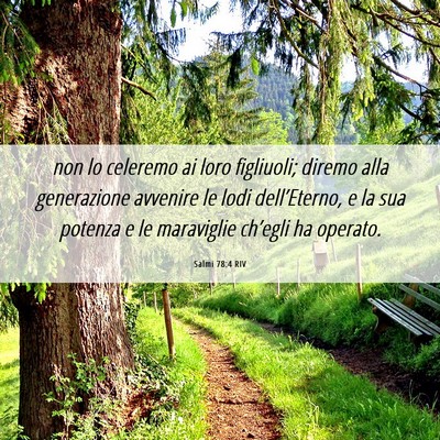 Picture 06 - Salmi 78:4 RIV - non lo celeremo ai loro figliuoli; diremo alla - Bible Verse Picture