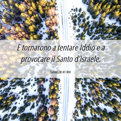 Picture 06 - Salmi 78:41 RIV - E tornarono a tentare Iddio e a provocare il - Bible Verse Picture
