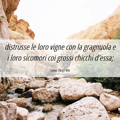 Picture 06 - Salmi 78:47 RIV - distrusse le loro vigne con la gragnuola e i loro - Bible Verse Picture