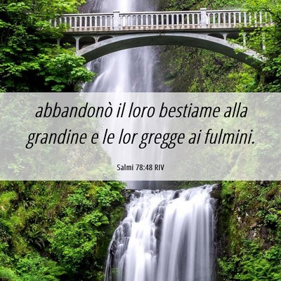 Picture 06 - Salmi 78:48 RIV - abbandonò il loro bestiame alla grandine e le - Bible Verse Picture