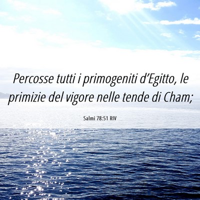 Picture 06 - Salmi 78:51 RIV - Percosse tutti i primogeniti d’Egitto, le - Bible Verse Picture