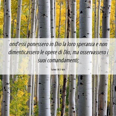Picture 06 - Salmi 78:7 RIV - ond’essi ponessero in Dio la loro speranza e - Bible Verse Picture