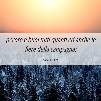 Picture 06 - Salmi 8:7 RIV - pecore e buoi tutti quanti ed anche le fiere - Bible Verse Picture