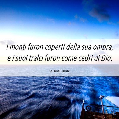 Picture 06 - Salmi 80:10 RIV - I monti furon coperti della sua ombra, e i suoi - Bible Verse Picture