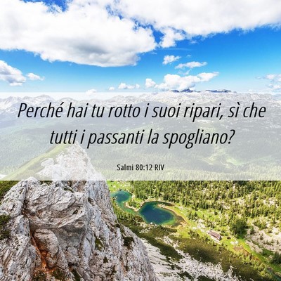 Picture 06 - Salmi 80:12 RIV - Perché hai tu rotto i suoi ripari, sì che tutti - Bible Verse Picture