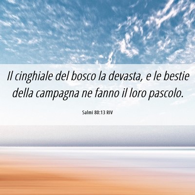 Picture 06 - Salmi 80:13 RIV - Il cinghiale del bosco la devasta, e le bestie - Bible Verse Picture