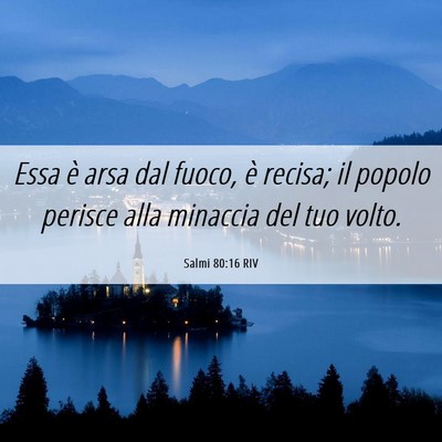 Picture 06 - Salmi 80:16 RIV - Essa è arsa dal fuoco, è recisa; il popolo - Bible Verse Picture