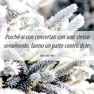 Picture 06 - Salmi 83:5 RIV - Poiché si son concertati con uno stesso - Bible Verse Picture