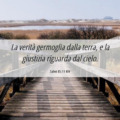 Picture 06 - Salmi 85:11 RIV - La verità germoglia dalla terra, e la giustizia - Bible Verse Picture