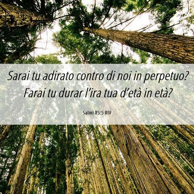 Picture 06 - Salmi 85:5 RIV - Sarai tu adirato contro di noi in perpetuo? Farai - Bible Verse Picture