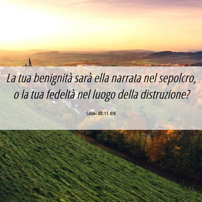 Picture 06 - Salmi 88:11 RIV - La tua benignità sarà ella narrata nel - Bible Verse Picture
