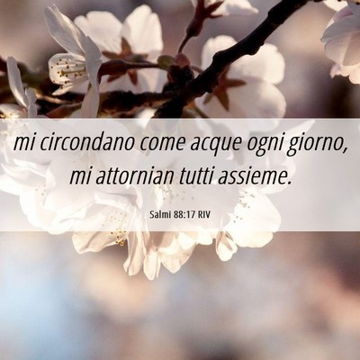 Picture 06 - Salmi 88:17 RIV - mi circondano come acque ogni giorno, mi - Bible Verse Picture