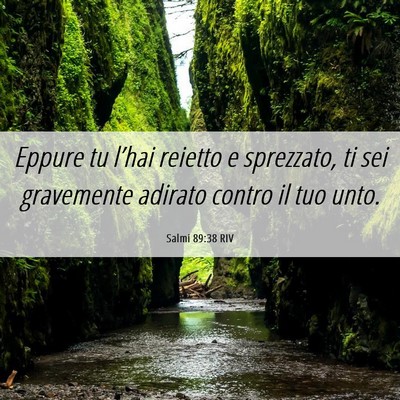 Picture 06 - Salmi 89:38 RIV - Eppure tu l’hai reietto e sprezzato, ti sei - Bible Verse Picture